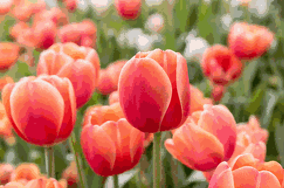 海关数据,evo真人视讯海关数据,荷兰海关数据 海关数据,evo真人视讯海关数据,荷兰海关数据