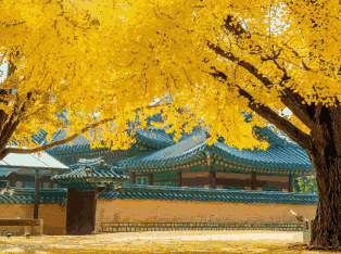 韩国外贸数据,外贸数据,evo真人视讯外贸数据