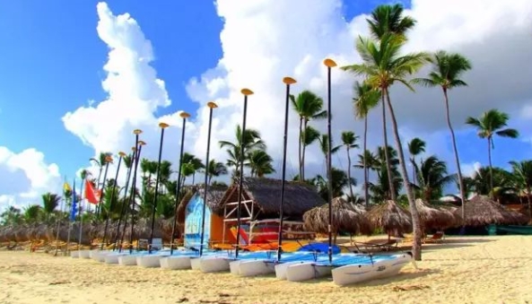 多米尼加海关数据查询平台（附免费试用查询名额）